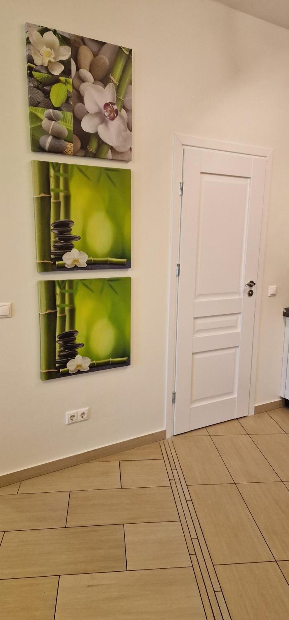 Palanga Apartaments - Mickeviciaus 8 エクステリア 写真